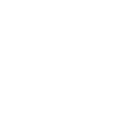 Norton Secured