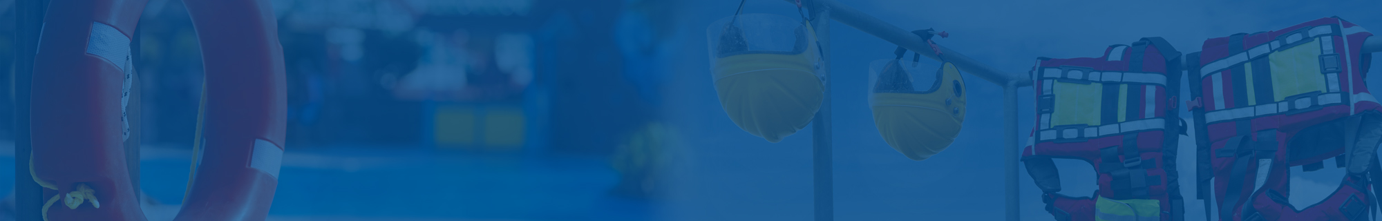 Life Insurance Services