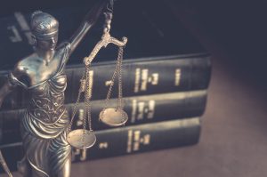 Datafied Provides a Variety of Legal Services Datafied Provides a Variety of Legal Services